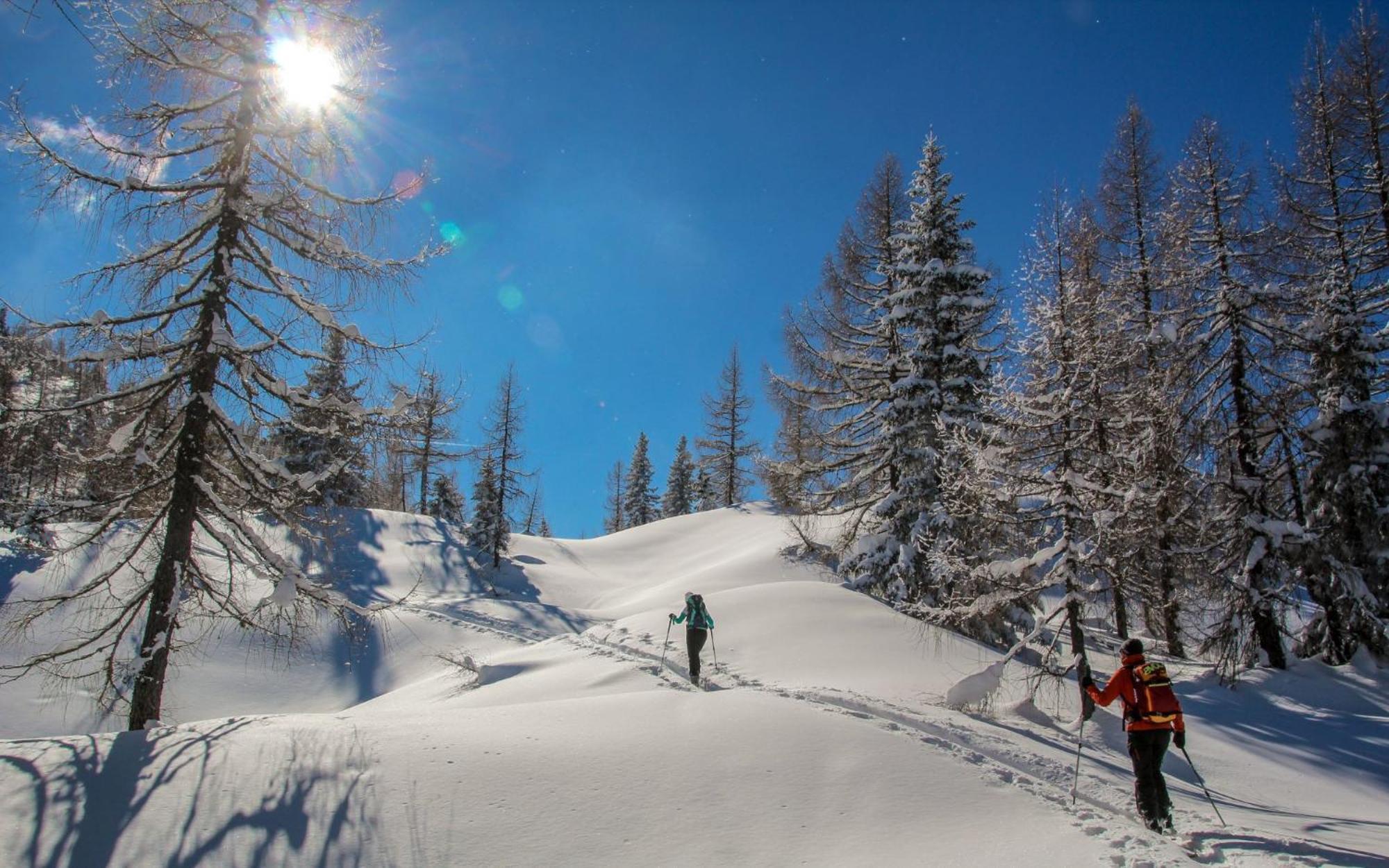 Naturparkresort Xeisblick Palfau Eksteriør bilde